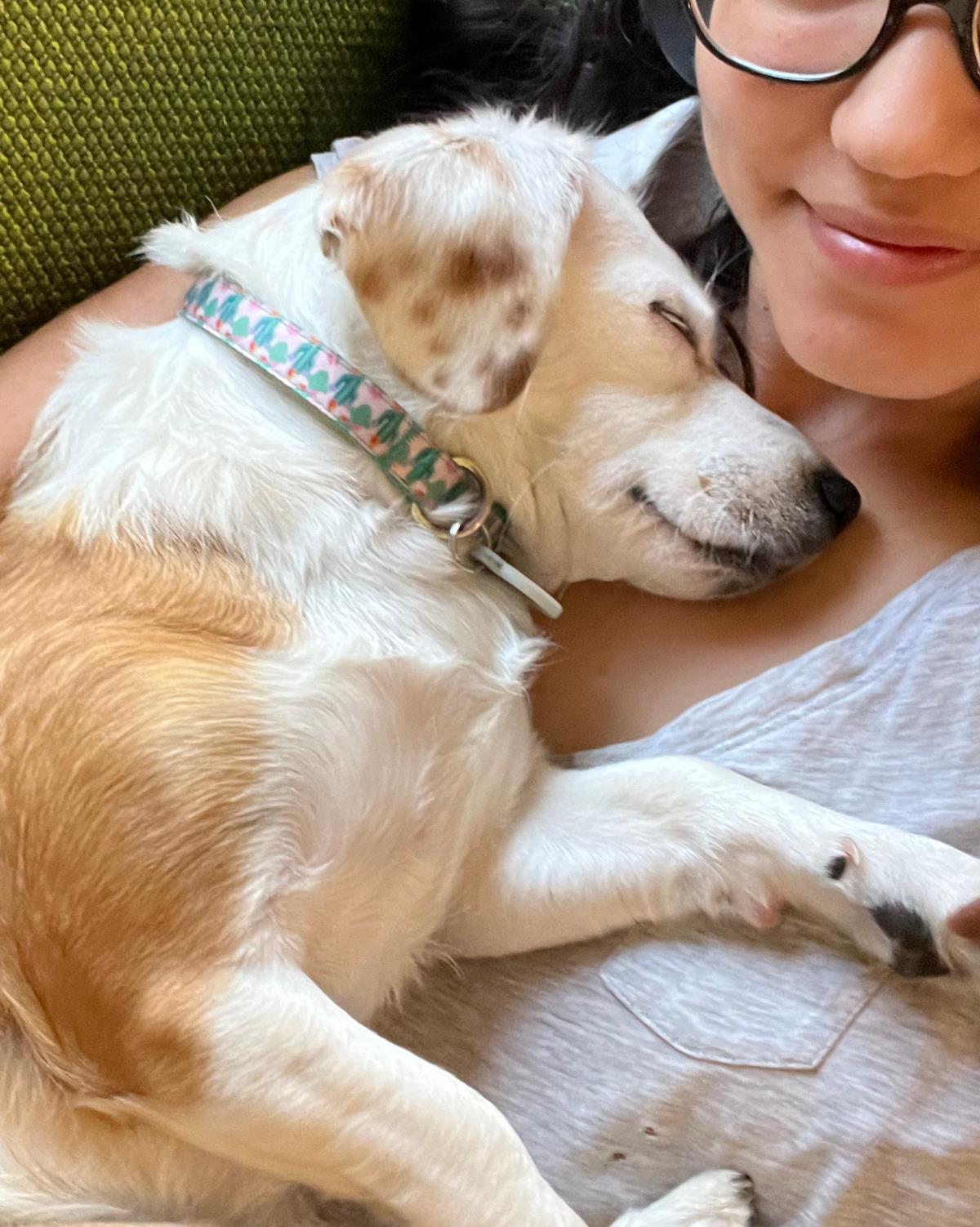 Bippity Boppity Boop