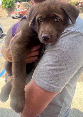 Medium Girl / Sunny (5902)