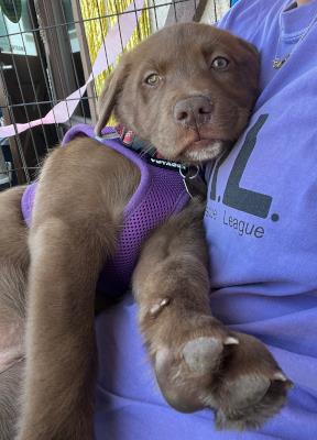 Medium Girl / Sunny (5902)