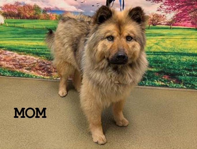 Little Boy / Taz (5908)